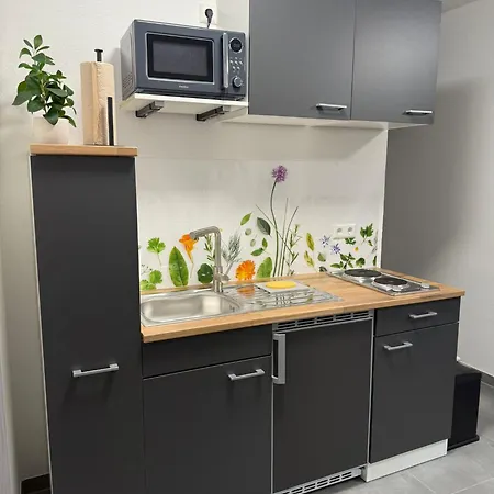 Ruhiges Mit Terrasse An Der Donau - Schwaben Living Апартаменты